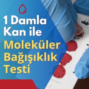 Moleküler Bağışıklık Testleri