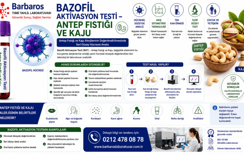 Bazofil Aktivasyon Testi – Antep Fıstığı ve Kaju