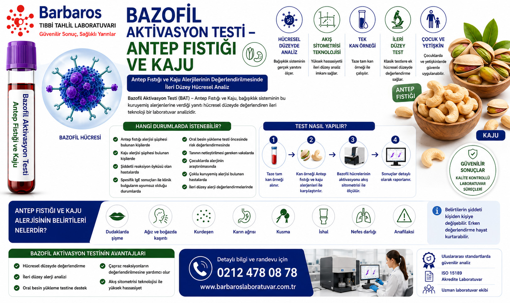 Bazofil Aktivasyon Testi – Antep Fıstığı ve Kaju