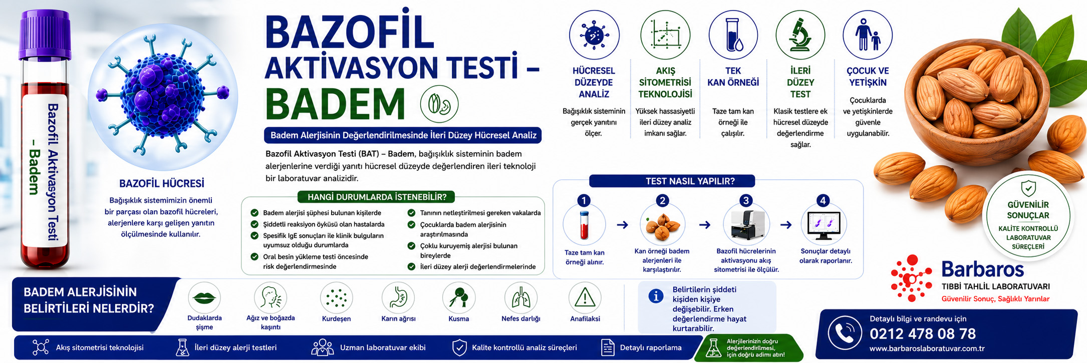 Bazofil Aktivasyon Testi – Badem