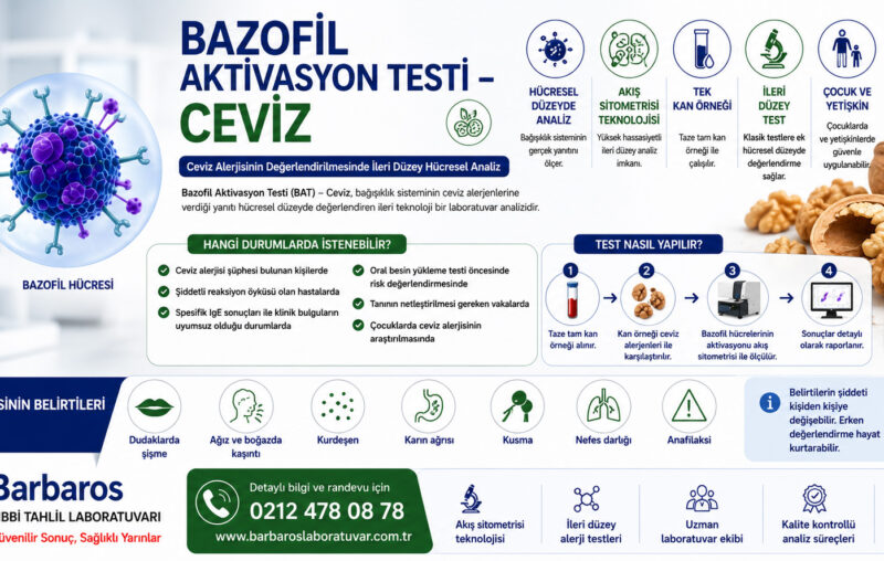 Bazofil Aktivasyon Testi – Ceviz