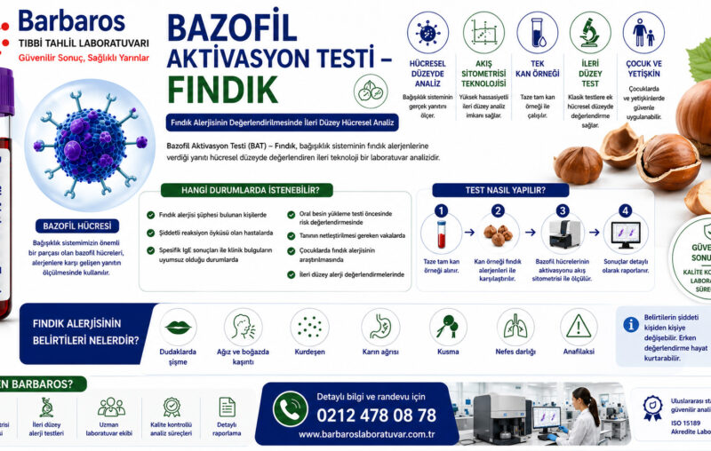 Bazofil Aktivasyon Testi – Fındık