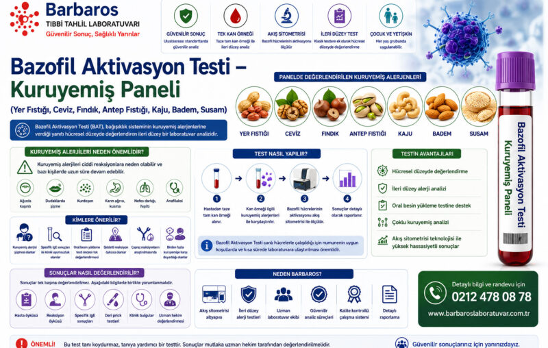 Bazofil Aktivasyon Testi – Kuruyemiş Paneli