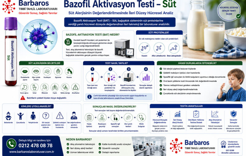 Bazofil Aktivasyon Testi – Süt