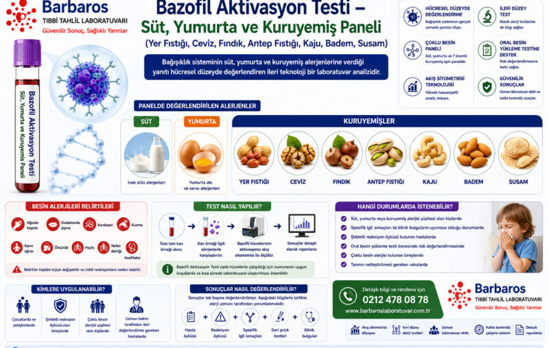 Bazofil Aktivasyon Testi – Süt, Yumurta ve Kuruyemiş Paneli