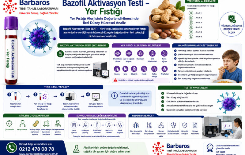 Bazofil Aktivasyon Testi – Yer Fıstığı
