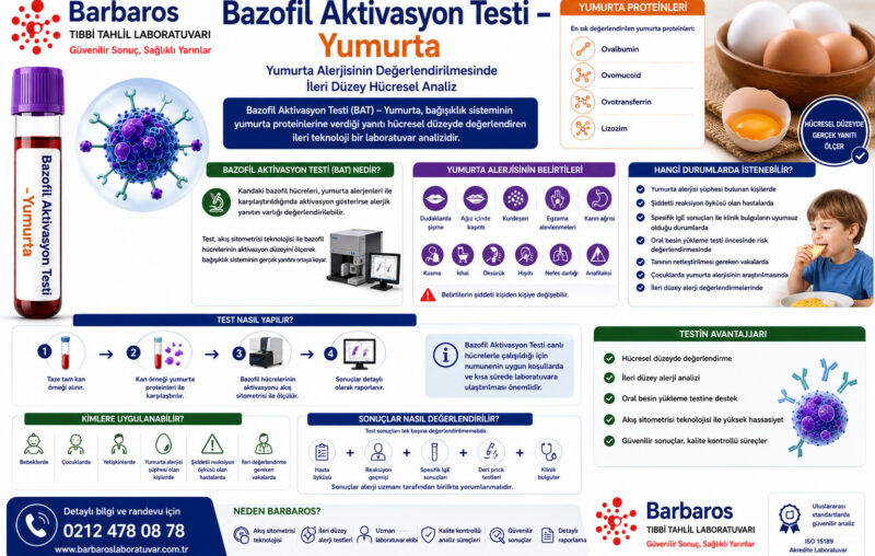 Bazofil Aktivasyon Testi – Yumurta