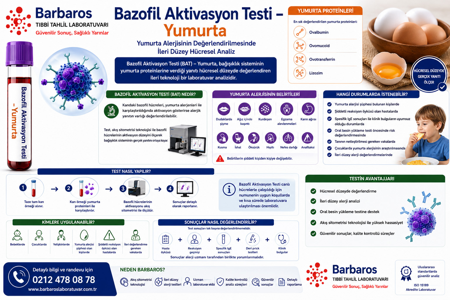 Bazofil Aktivasyon Testi – Yumurta