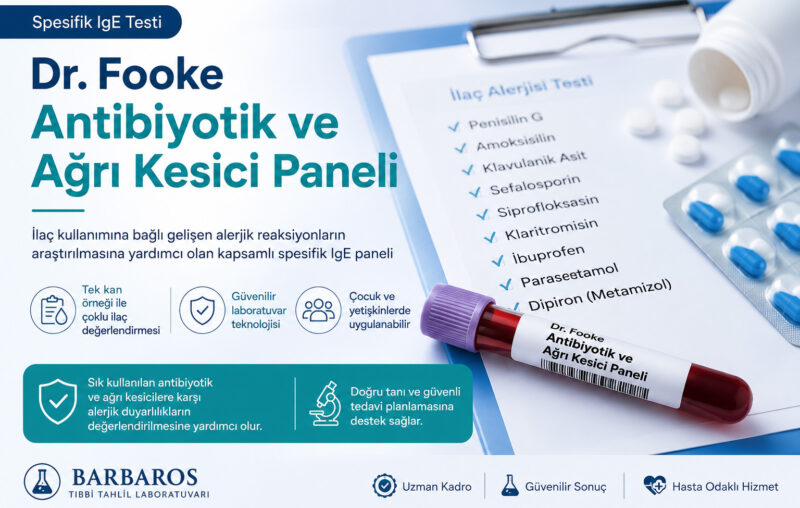 Dr. Fooke Antibiyotik ve Ağrı Kesici Paneli